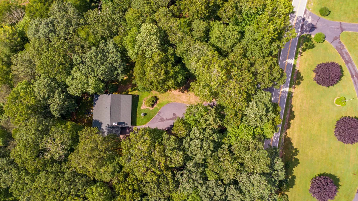 A peaceful view of the exterior of the house, featuring the main cabin set amid mature trees, with a paved driveway leading up to the entrance. The surrounding greenery offers a sense of privacy and space, ideal for families and pets to enjoy the outdoors.